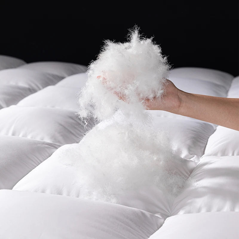 Pillow Top Soft