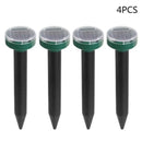 47071834734900|47071834767668|47071834800436